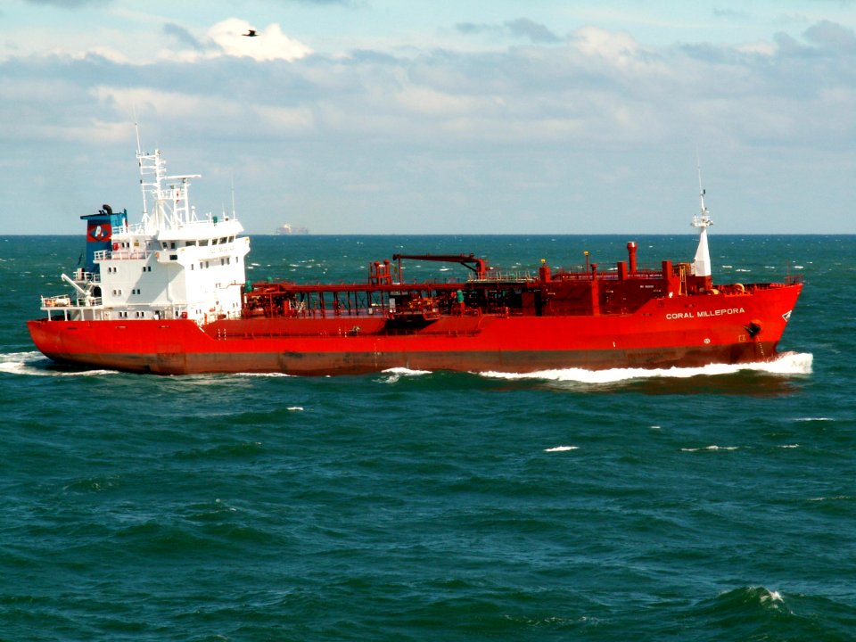 Coral Millepora p approaching Port of Rotterdam, Holland 10-Aug-2005