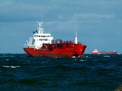 Coral Millepora p1 approaching Port of Rotterdam, Holland 10-Aug-2005