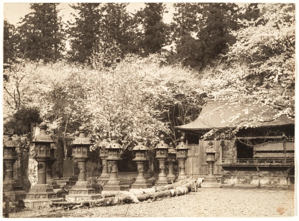 Copper lanterns in Ueno Tōshō-gū (Tokyo) by Adolf de Meyer 1900-1910