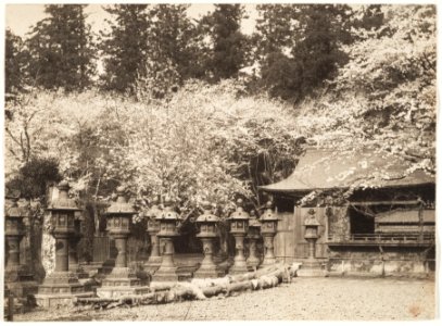 Copper lanterns in Ueno Tōshō-gū (Tokyo) by Adolf de Meyer 1900-1910