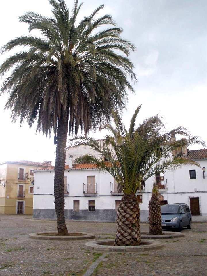 Coria - Plaza de la Catedral 1
