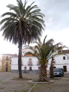 Coria - Plaza de la Catedral 1