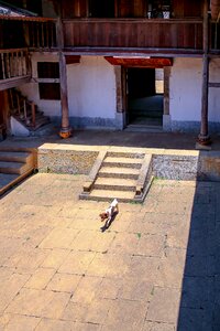 Steps have to wall white