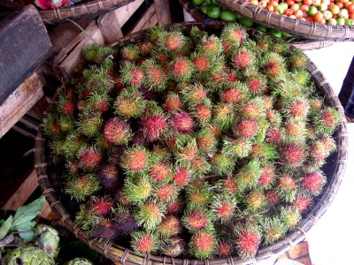 Corbeille de fruits