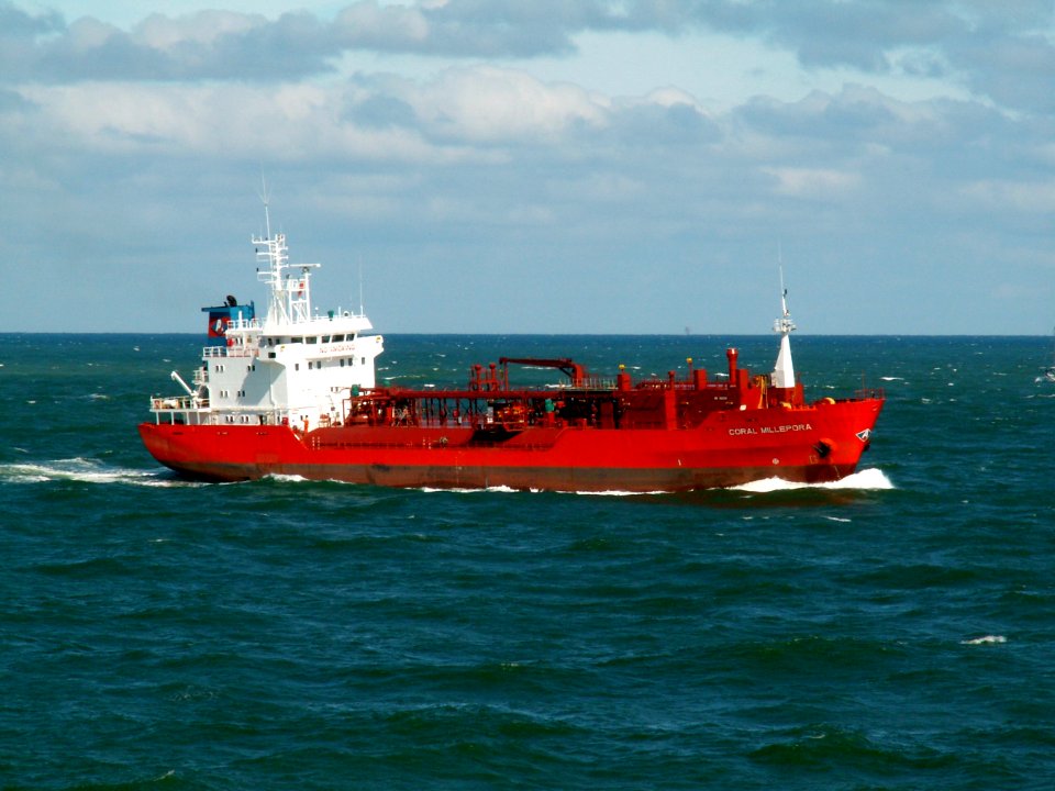 Coral Millepora p3 approaching Port of Rotterdam, Holland 10-Aug-2005
