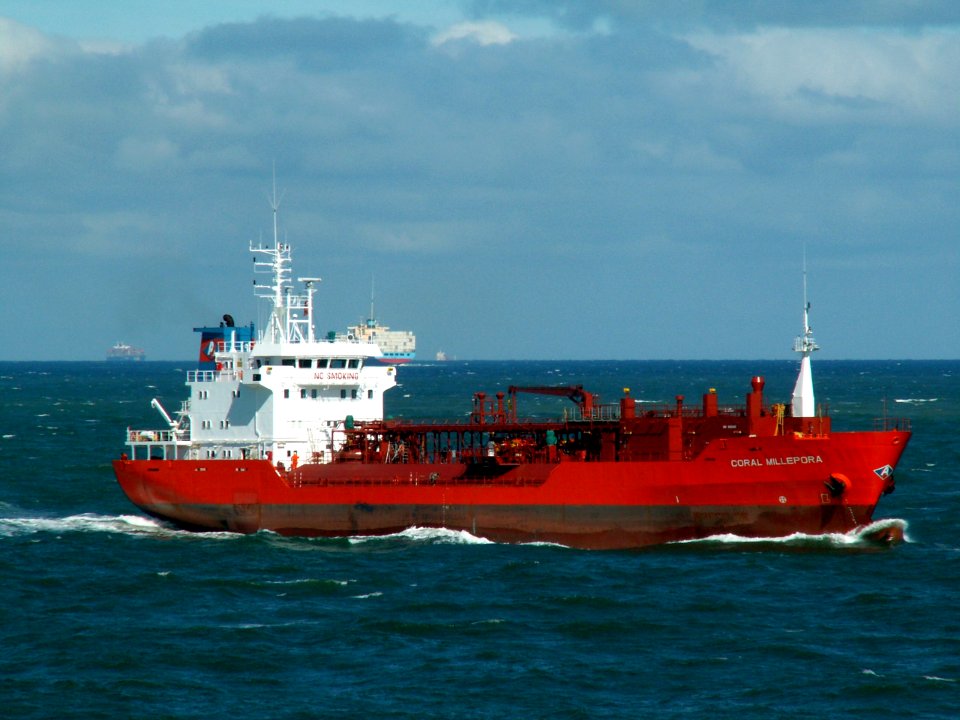 Coral Millepora p2 approaching Port of Rotterdam, Holland 10-Aug-2005