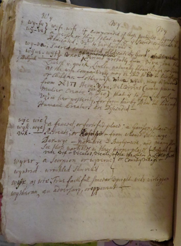 Cornish British Vocabulary folio 50Xv (wy)
