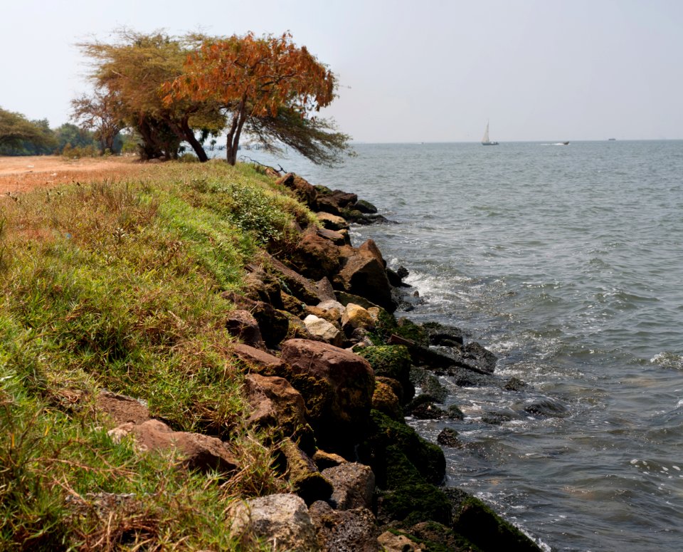 Costa in the Ports of Altagracia