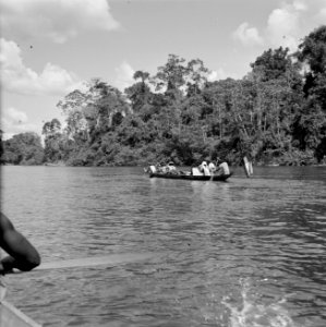 Corjaal op de Surinamerivier, Bestanddeelnr 252-4376