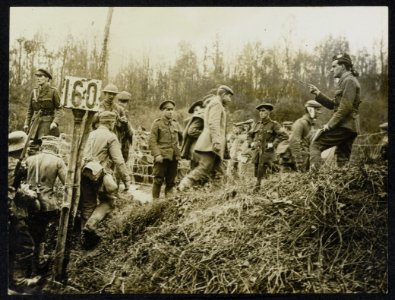 Counting the prisoners as they come in from Beaumont Hamel, Bestanddeelnr 158-0981