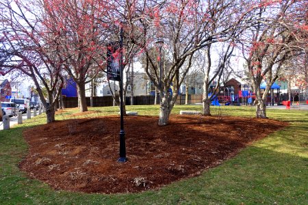 Costa Lopez Park and Community Garden - Cambridge, MA - DSC05709