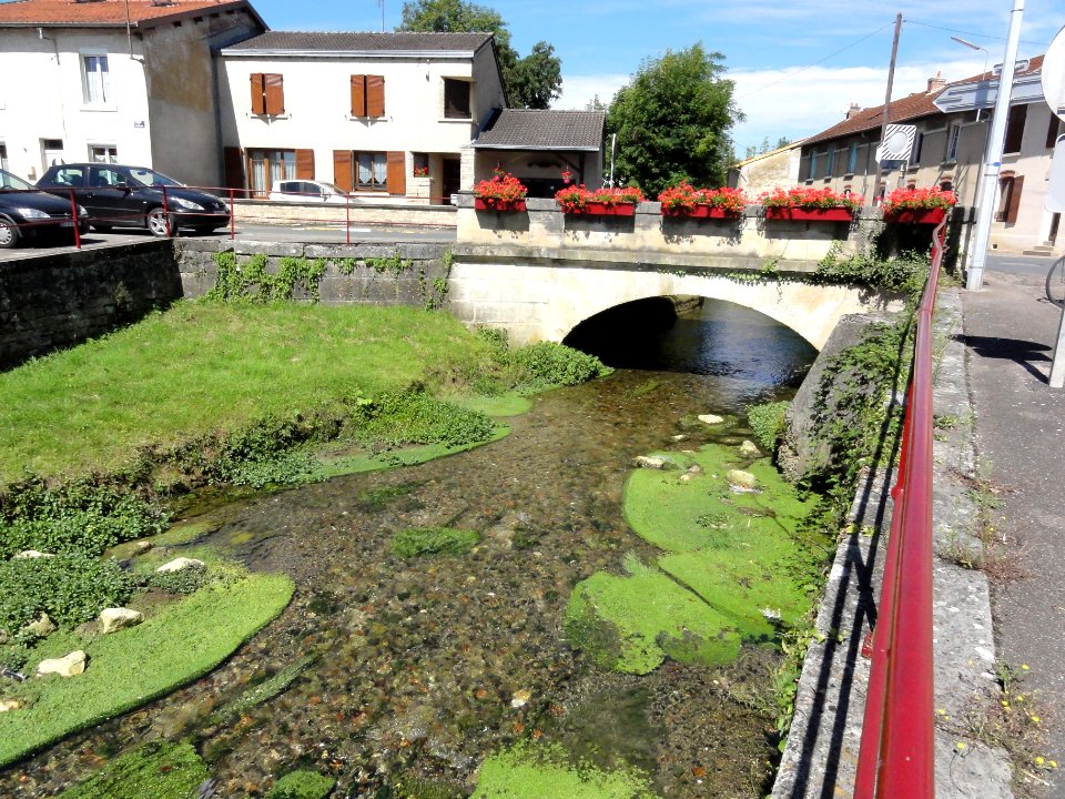 Cousances-les-Forges (Meuse) la Cousance avec pont