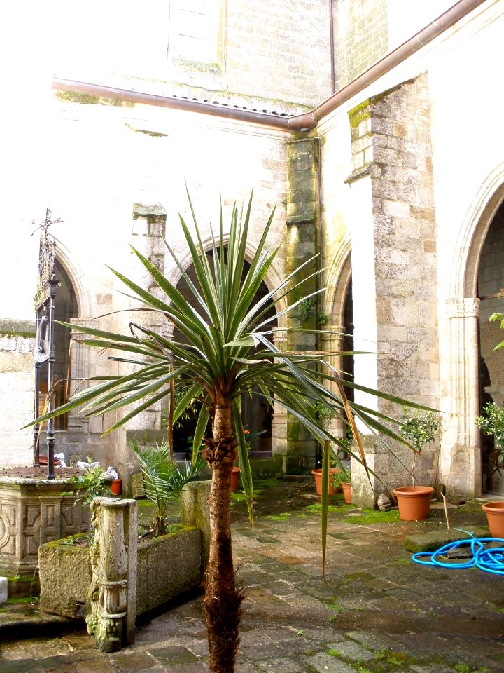 Coria - Catedral, claustro y dependencias claustrales 02