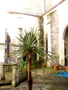 Coria - Catedral, claustro y dependencias claustrales 02