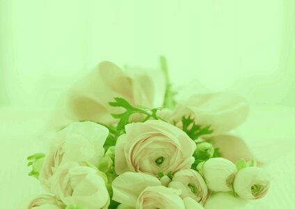 Romantic wedding invitation