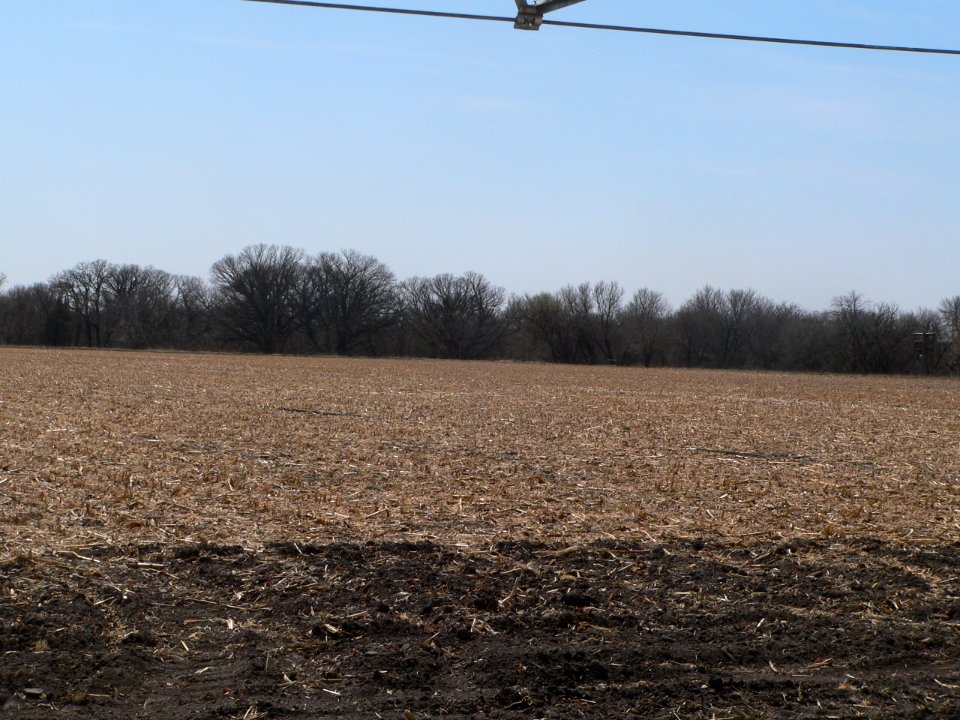 Cottonwood Creek site (Nance Co NE) pan 5 of 6