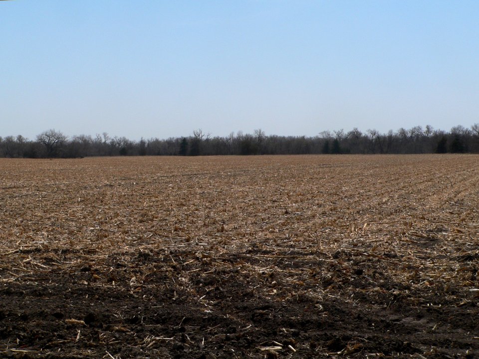 Cottonwood Creek site (Nance Co NE) pan 2 of 6