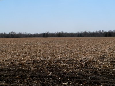 Cottonwood Creek site (Nance Co NE) pan 2 of 6