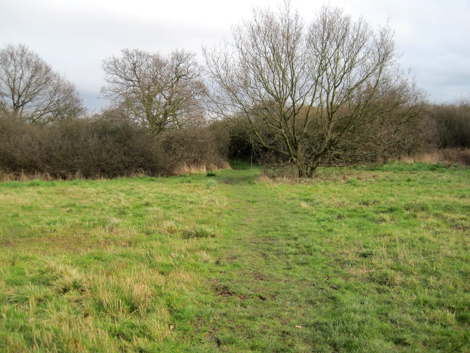 Copthall South Fields path