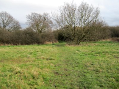 Copthall South Fields path