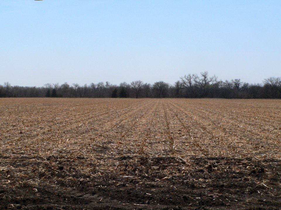 Cottonwood Creek site (Nance Co NE) pan 3 of 6