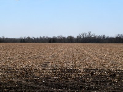 Cottonwood Creek site (Nance Co NE) pan 3 of 6