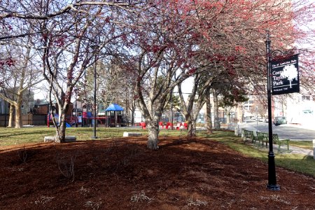 Costa Lopez Park and Community Garden - Cambridge, MA - DSC05710