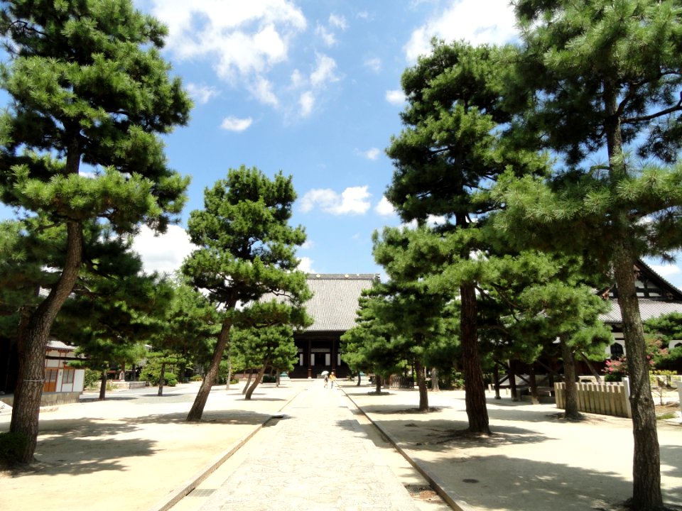 Courtyard - Hyakumanben chion-ji - Kyoto - DSC06503