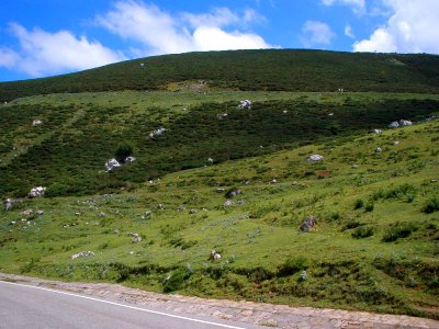 Covadonga - Entorno de los Lagos 11