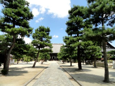 Courtyard - Hyakumanben chion-ji - Kyoto - DSC06515