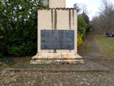Couzon-au-Mont-d'Or - La Vénagère - Madone de Couzon - Plaque
