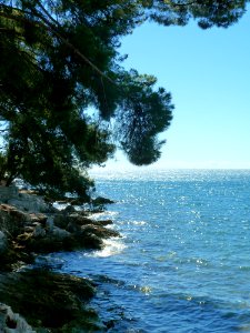 Costa scogliosa e alberata di Poreč