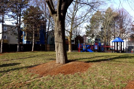 Costa Lopez Park and Community Garden - Cambridge, MA - DSC05712