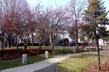 Costa Lopez Park and Community Garden - Cambridge, MA - DSC05706
