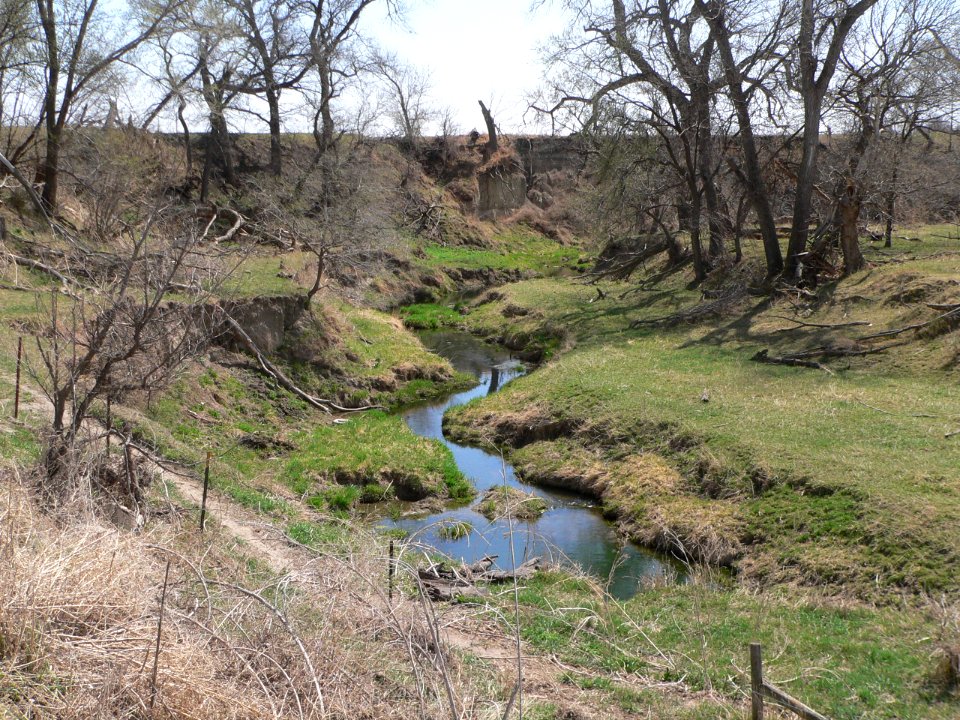 Cottonwood Creek (Nance Co NE) S of Valley Rd facing DS 1