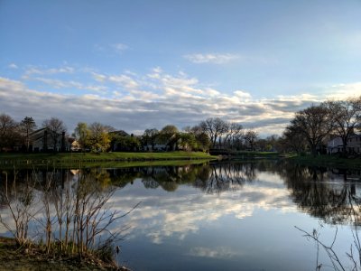 Cottonwood Park lake in Rolling Meadows, Illinois (from east)