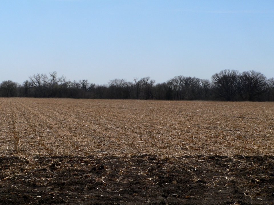 Cottonwood Creek site (Nance Co NE) pan 4 of 6