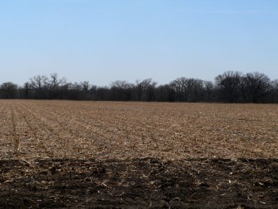 Cottonwood Creek site (Nance Co NE) pan 4 of 6