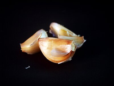 Clove seasoning closeup photo