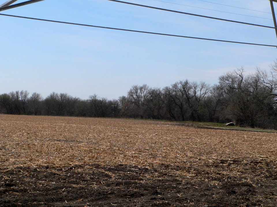 Cottonwood Creek site (Nance Co NE) pan 6 of 6