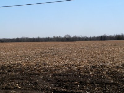 Cottonwood Creek site (Nance Co NE) pan 1 of 6