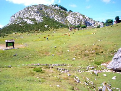 Covadonga - Entorno de los Lagos 03