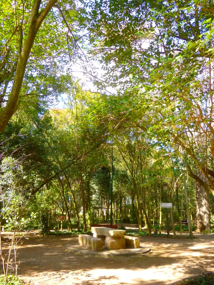 Cortes - Parque Municipal 23