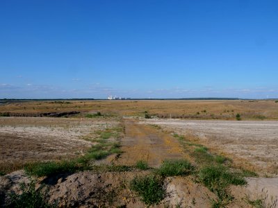 Cottbuser Ostsee in july 2019 22