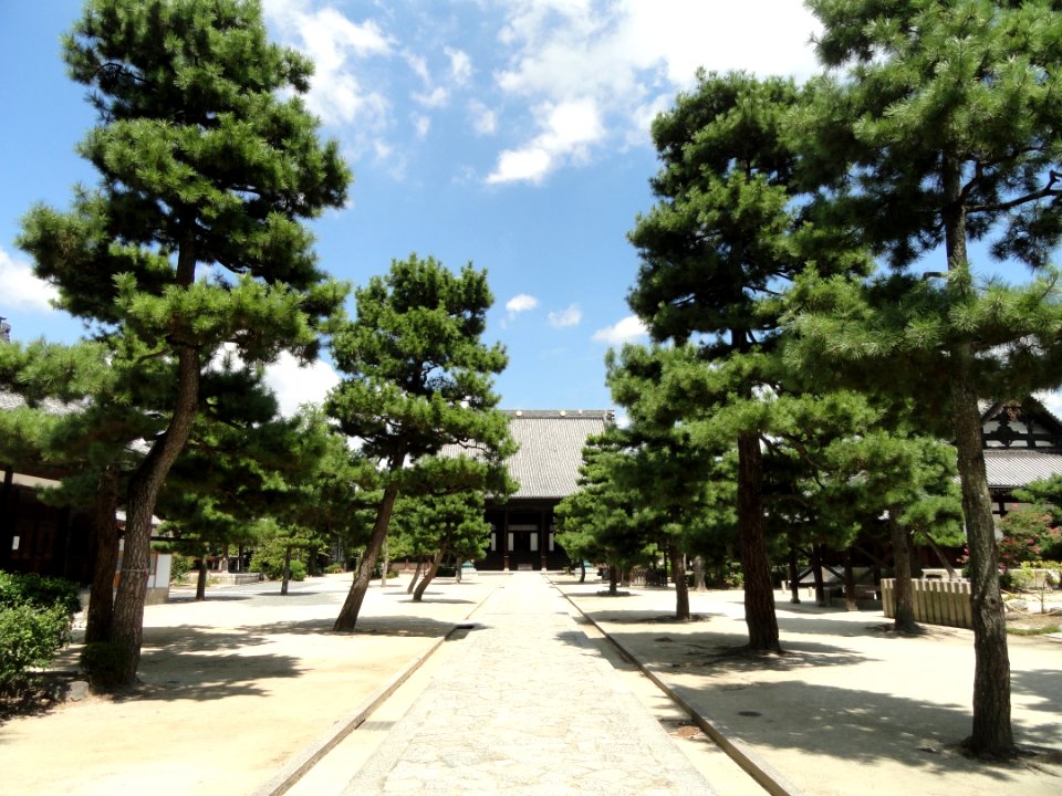 Courtyard - Hyakumanben chion-ji - Kyoto - DSC06507