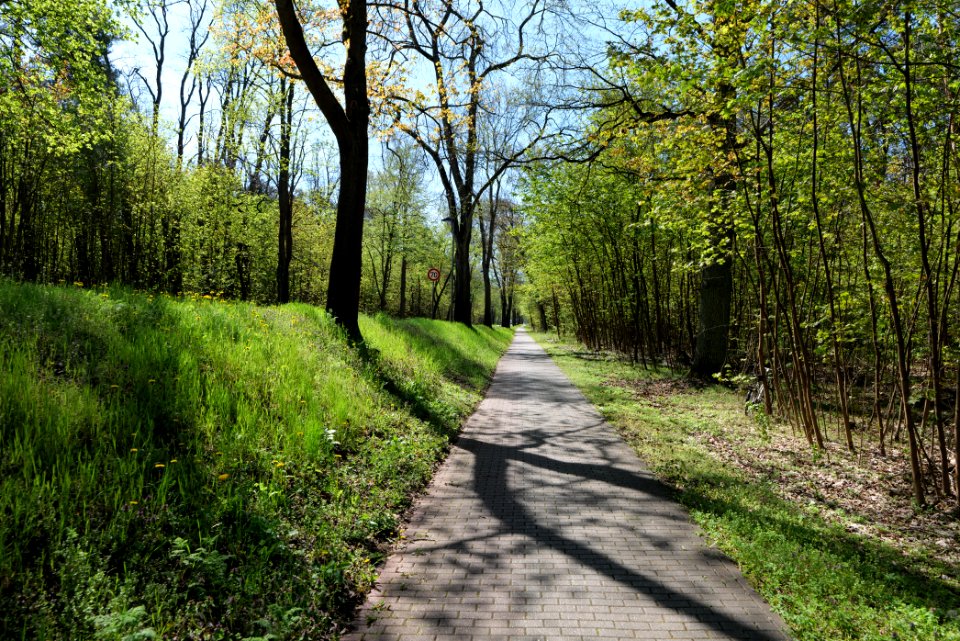 Cottbuser Straße Wünsdorf 2021-05-09 02