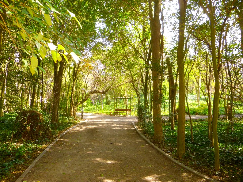 Cortes - Parque Municipal 22