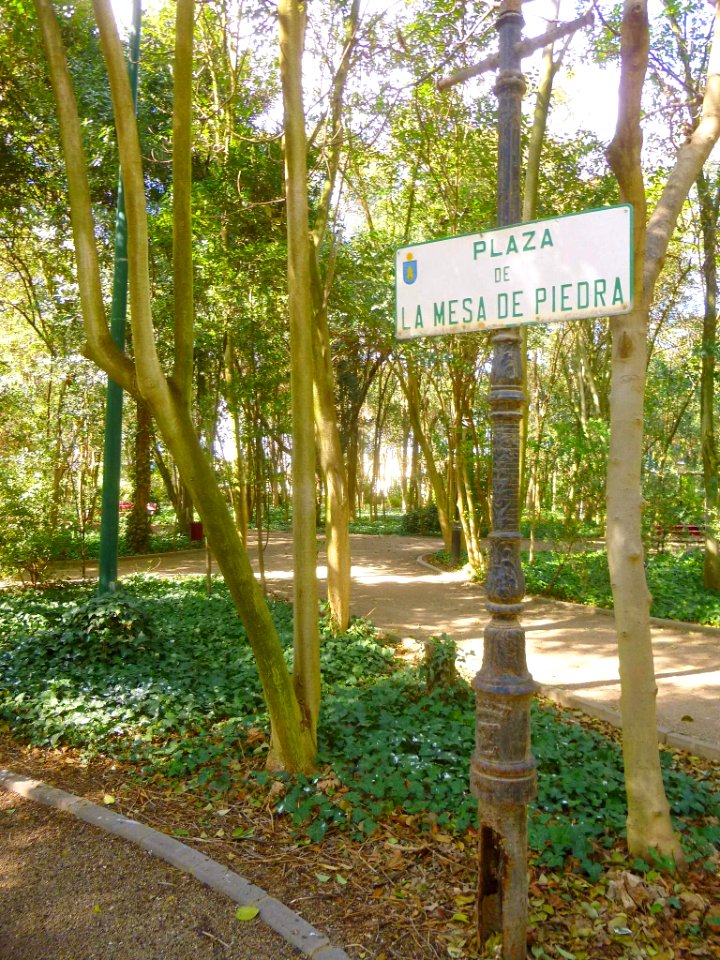 Cortes - Parque Municipal 20