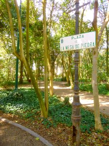 Cortes - Parque Municipal 20