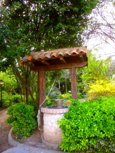 Cortes - Parque Municipal 04